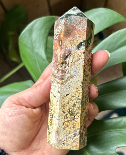 Hand holding a crystal with a natural, earthy pattern against a blurred green plant background