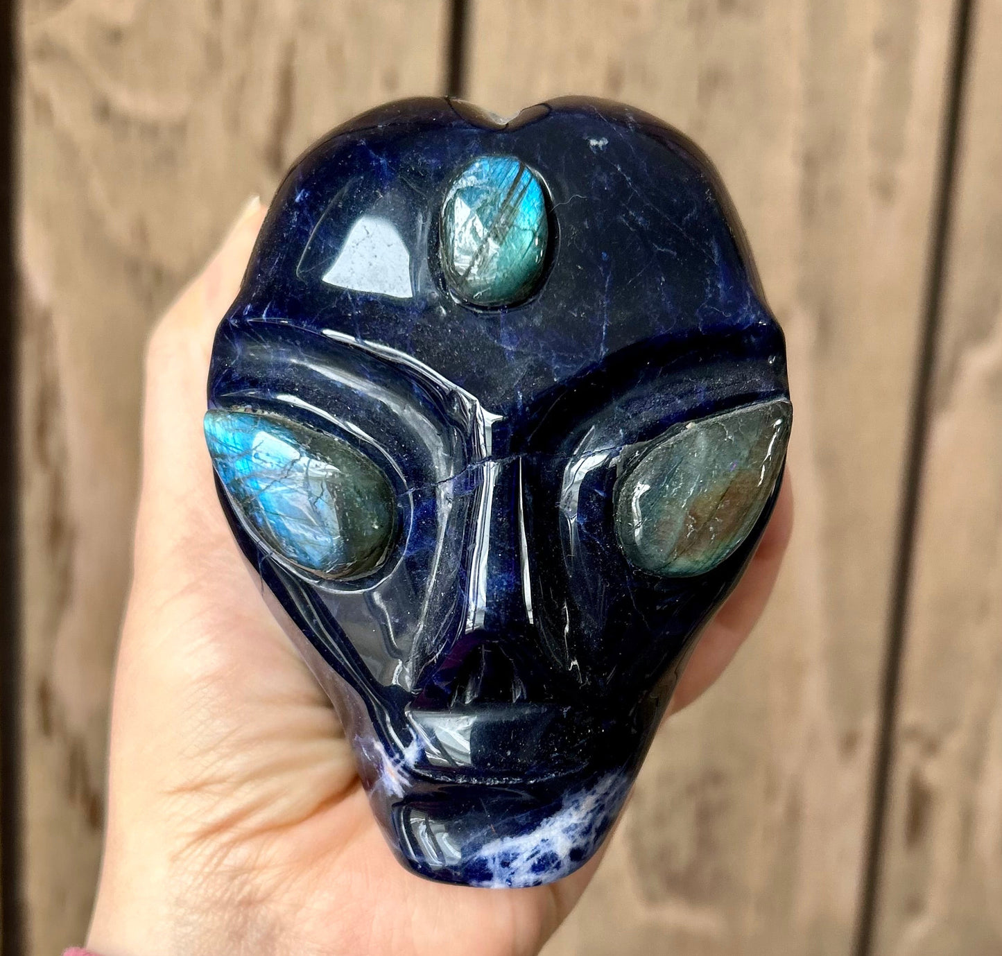 Sodalite Alien Head with Labradorite Eyes
