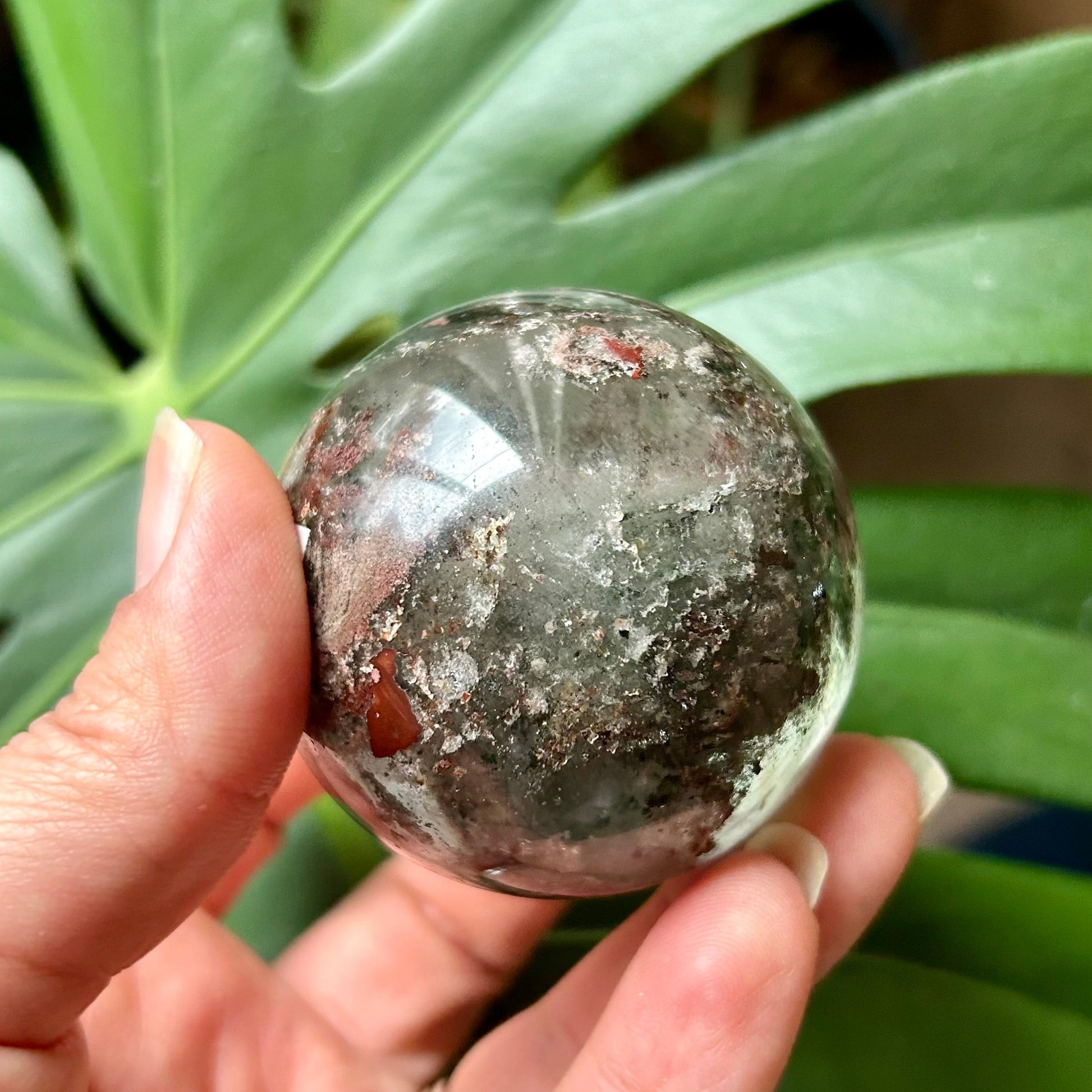 Crystal ball held in a hand with green leaves in the background