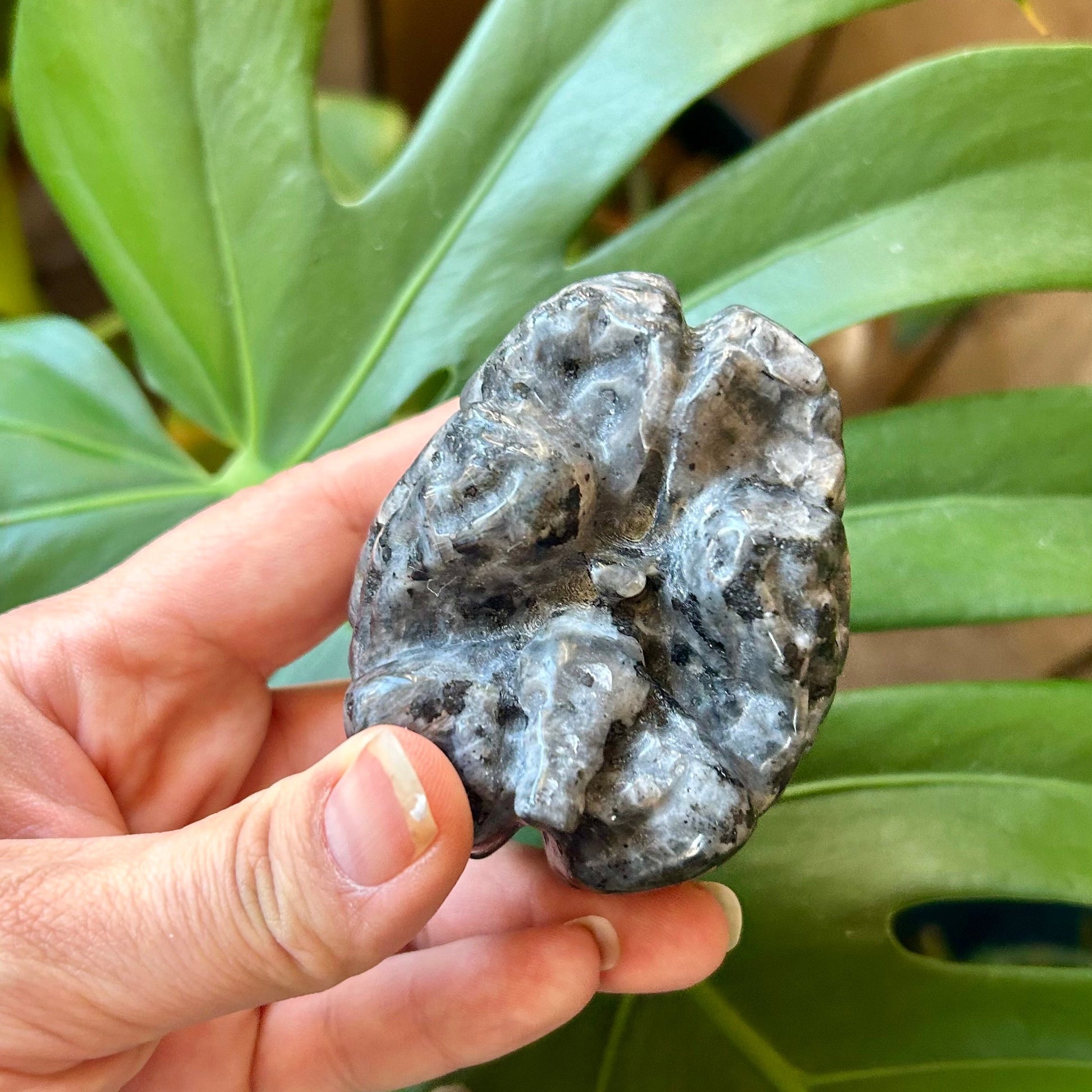 Hand holding a textured stone in front of green leaves