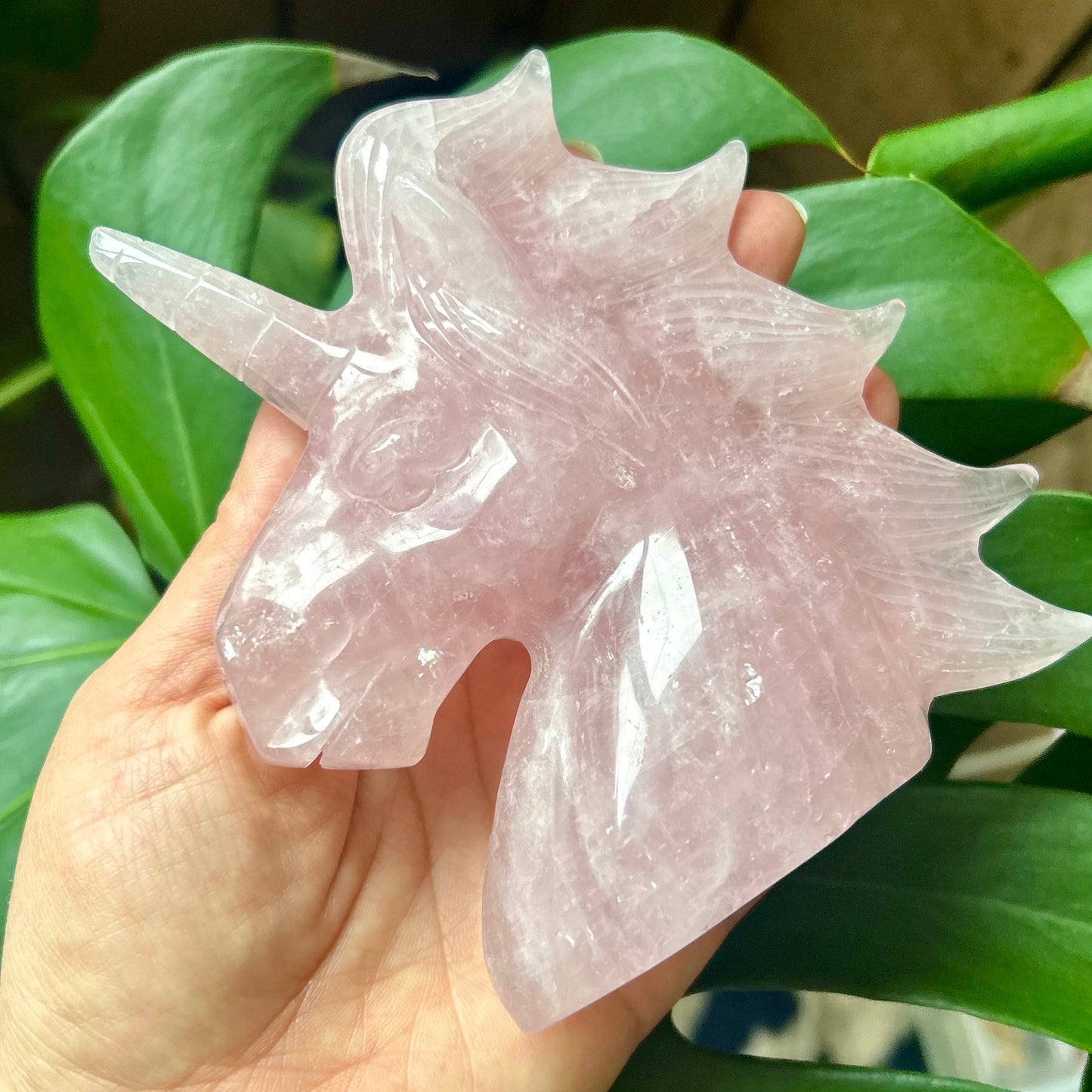 Hand holding a pink crystal with green leaves in the background