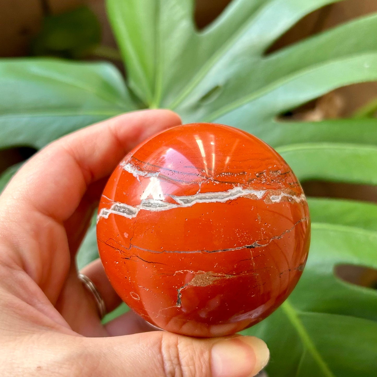 Hand holding a red-orange stone with white veins against a green leafy background