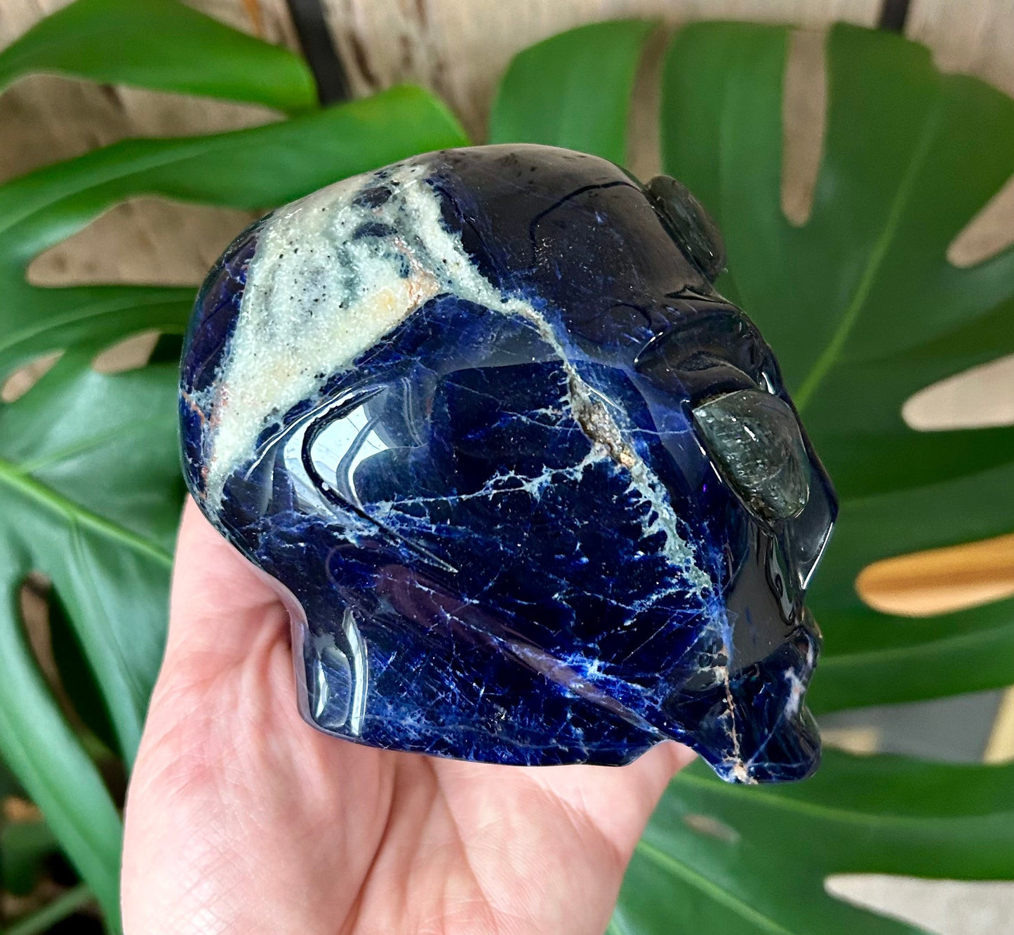 Sodalite Alien Head with Labradorite Eyes