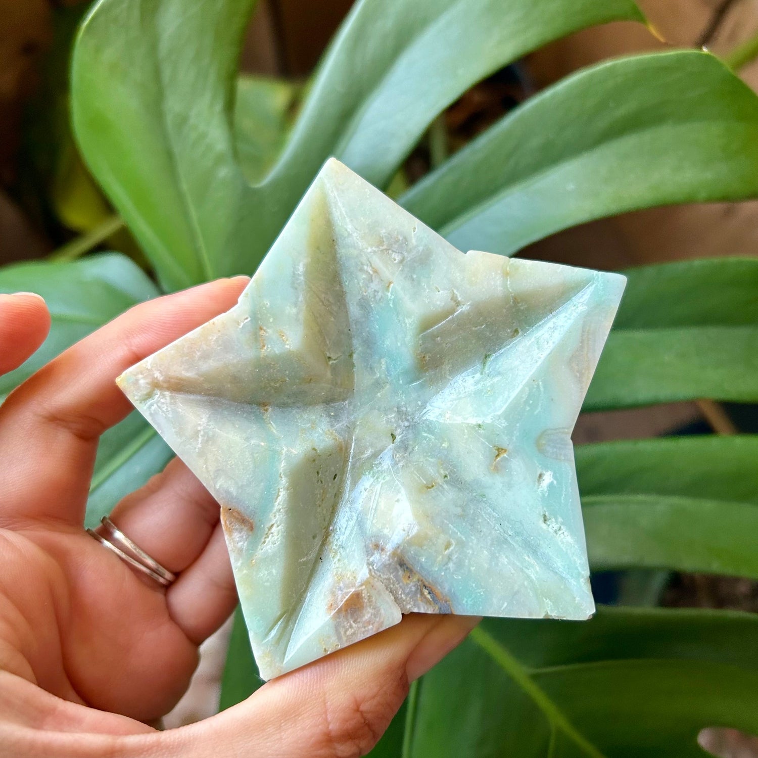 Star-shaped stone held in a hand with a green leafy background