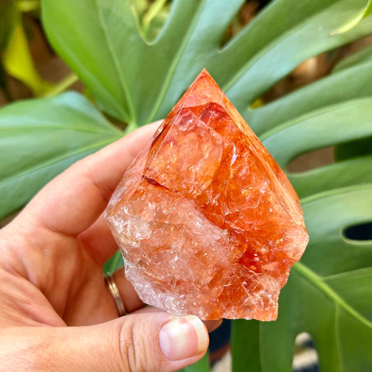 Hand holding a crystal in front of green leaves
