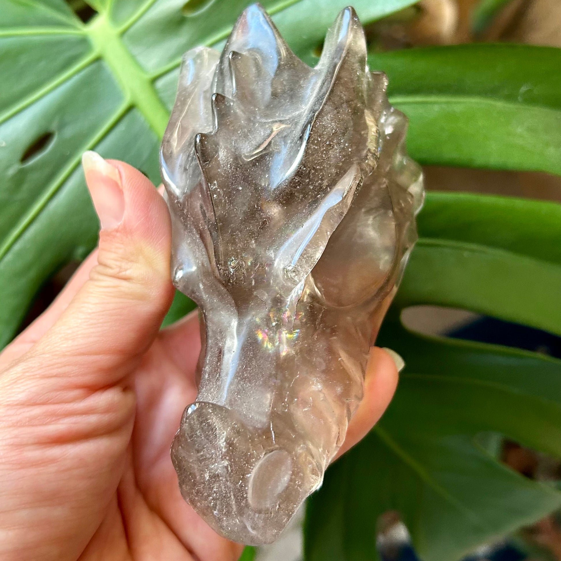 Crystal dragon figurine held in front of a leafy green plant