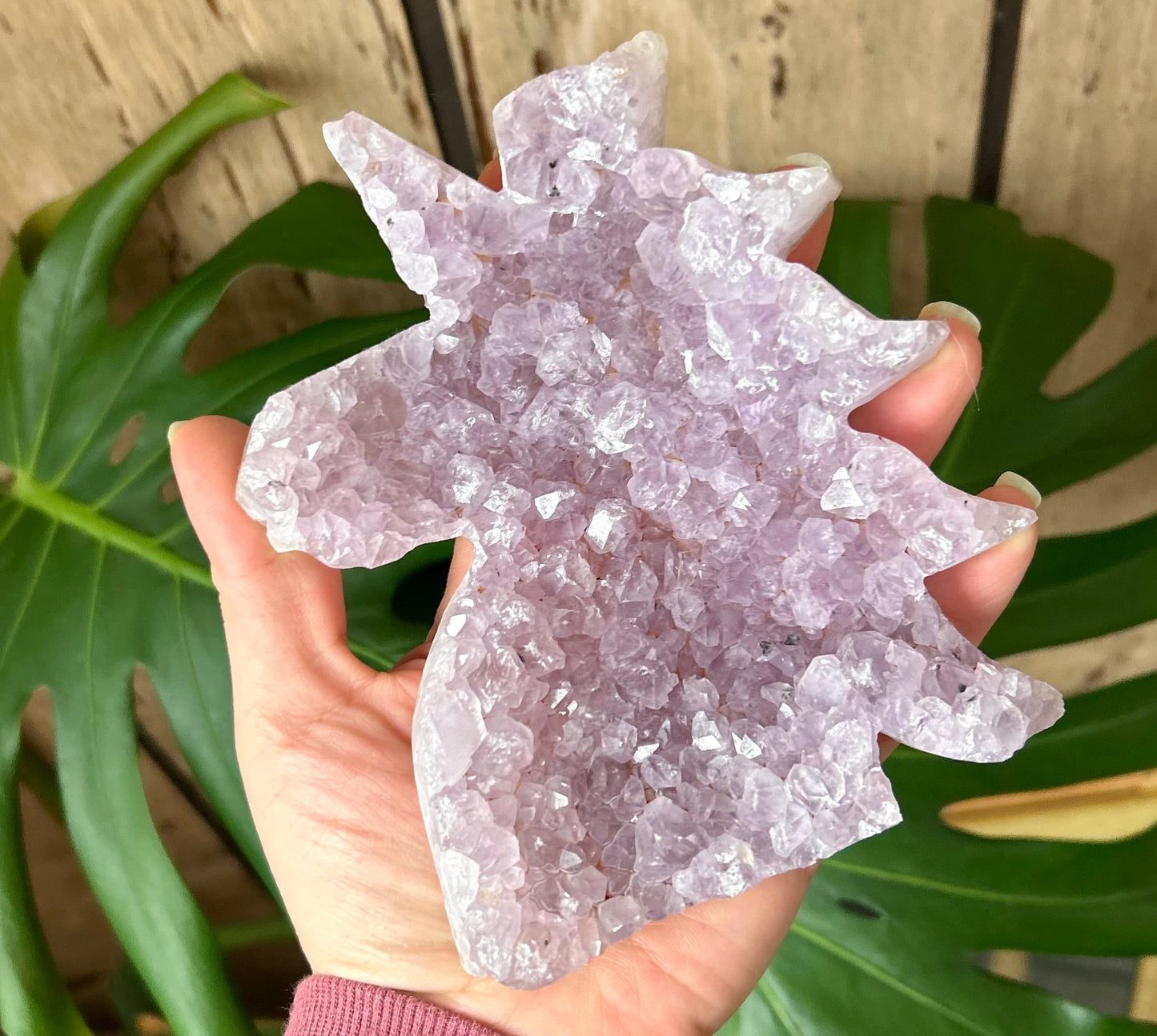 Amethyst Druzy Unicorn Geode Carving
