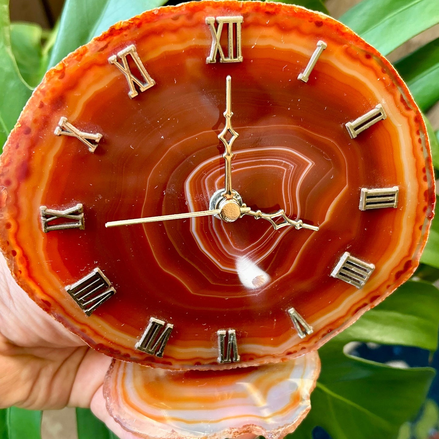 Agate clock with Roman numeral markers held against a green leafy background