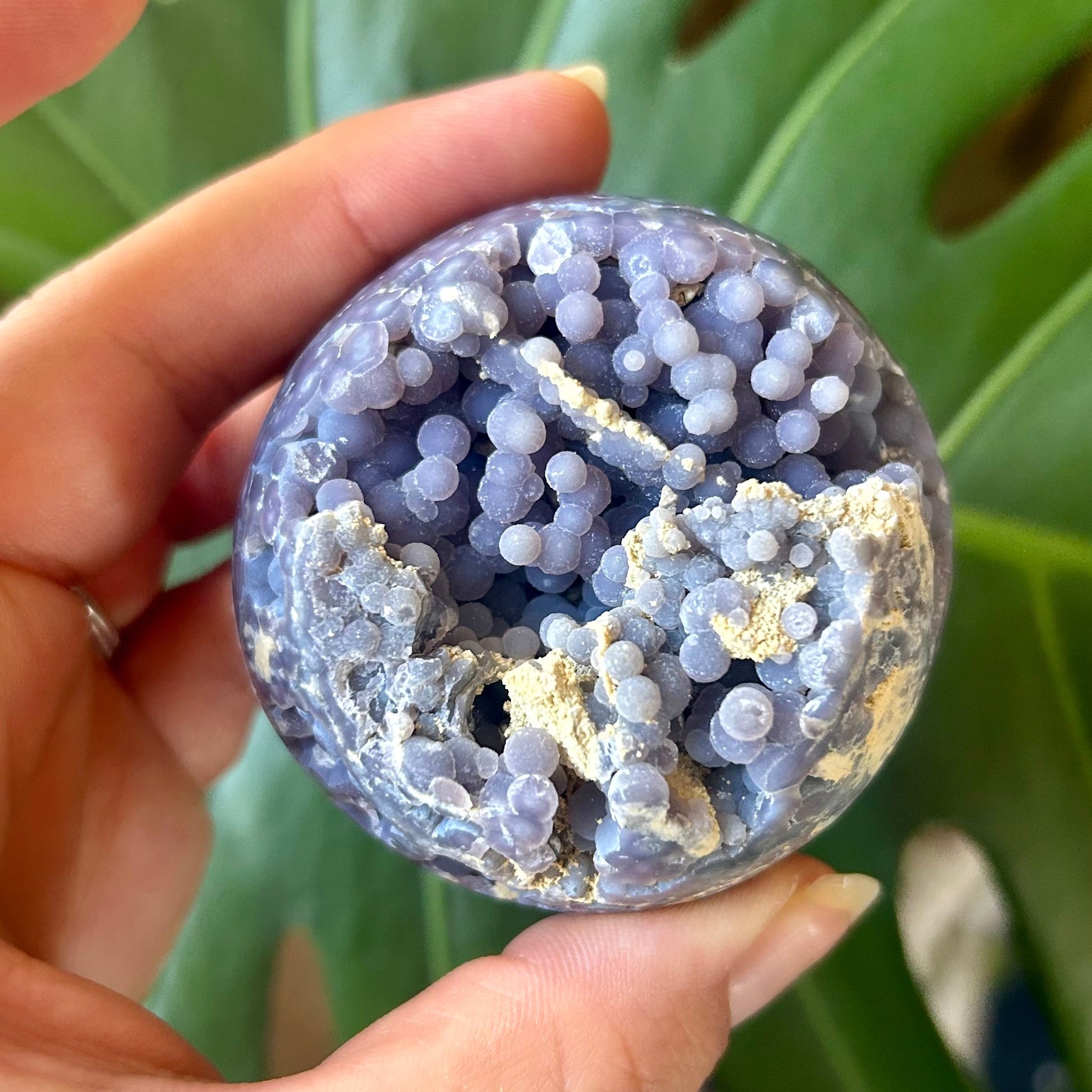 Hand holding a purple geode crystal with green leaves in the background