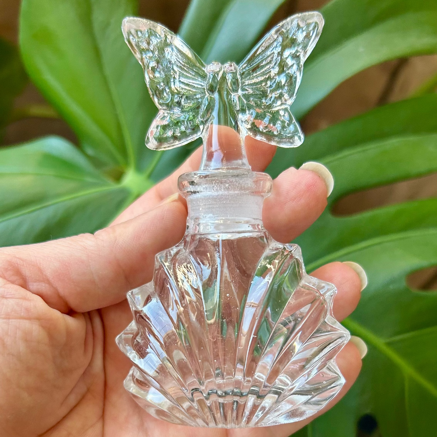 Clear butterfly-shaped object held in a hand with green leaves in the background