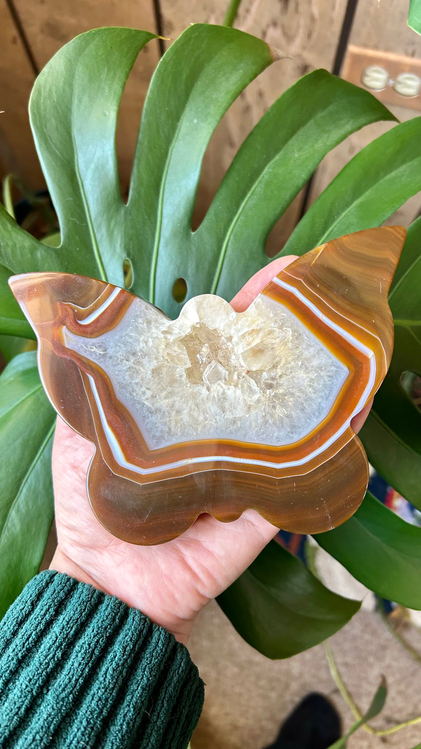 Druzy Carnelian Agate Butterfly