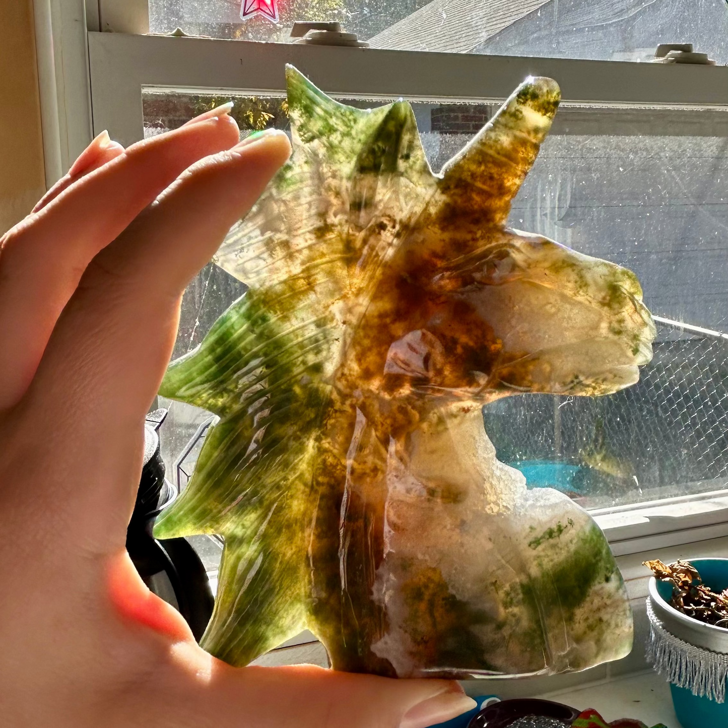 Hand holding a large seashell with a window in the background