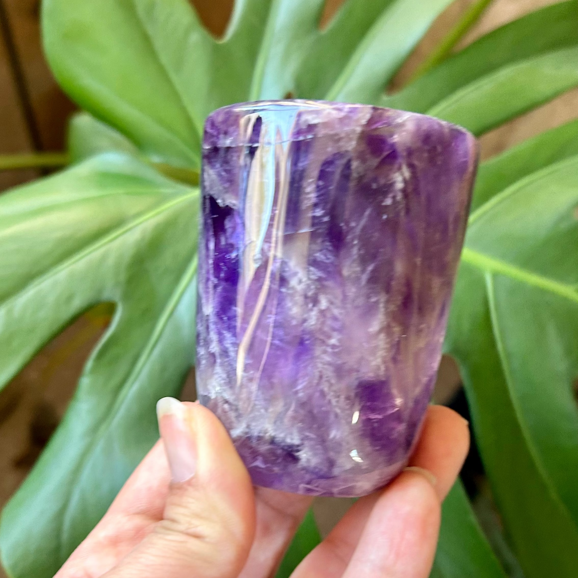 Hand holding a crystal cup with purple and clear stones against a green leafy background