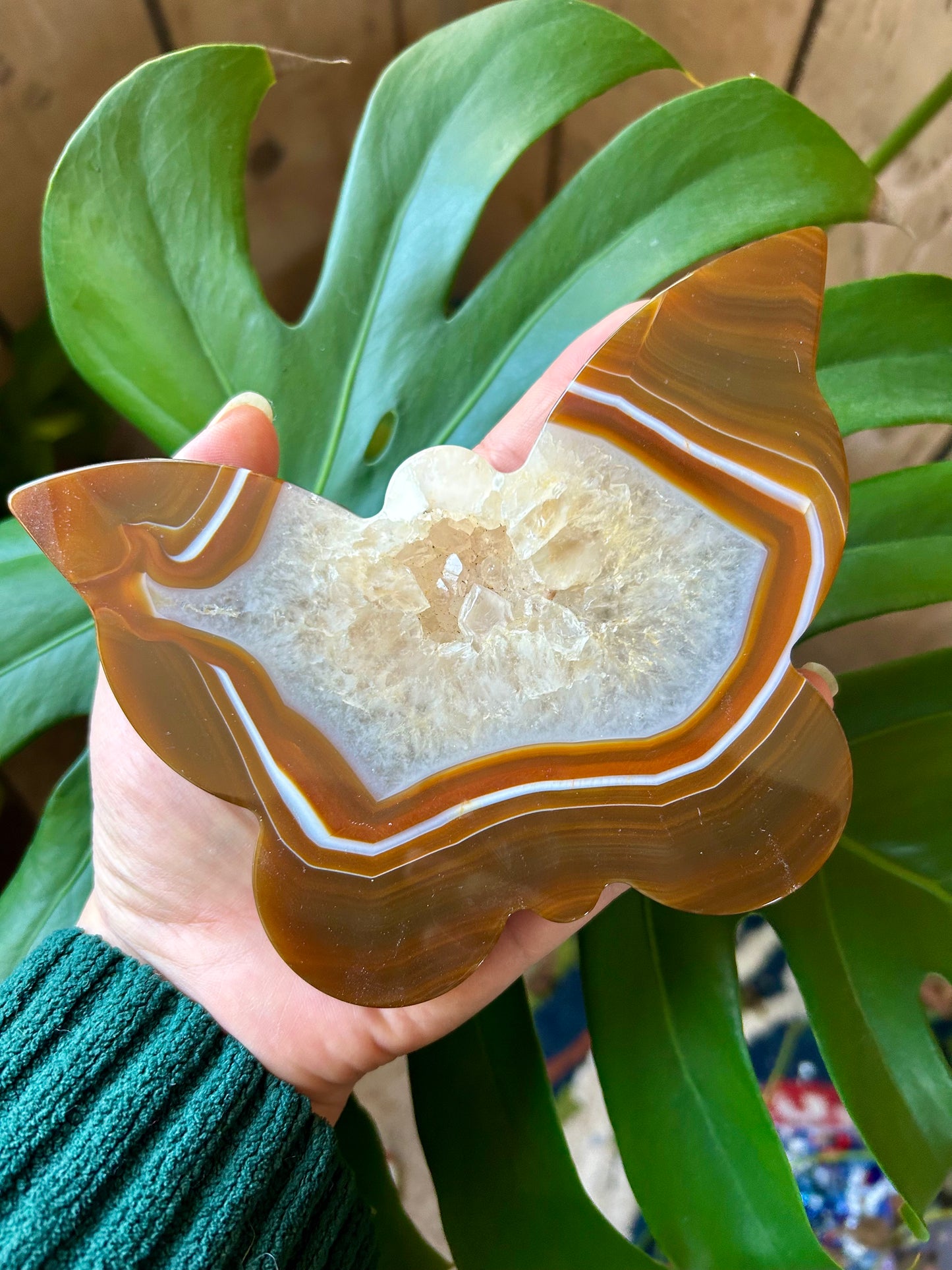 Druzy Carnelian Agate Butterfly