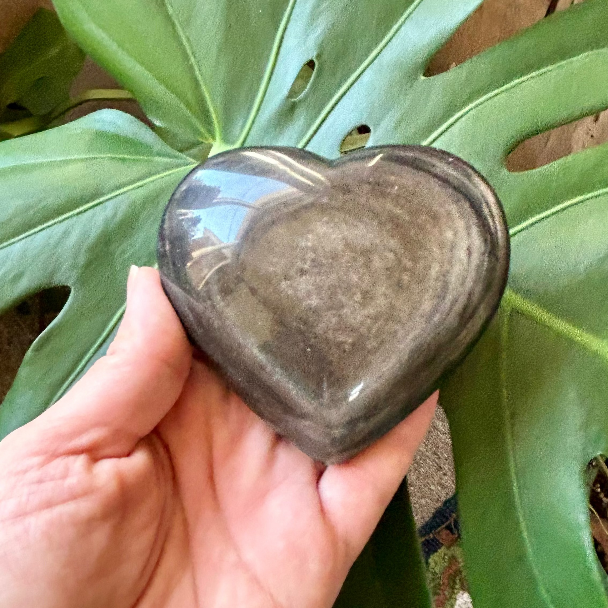 Heart-shaped stone held in front of a large green leaf