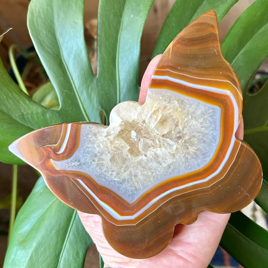 Person holding a decorative stone with a pattern against a green leafy background