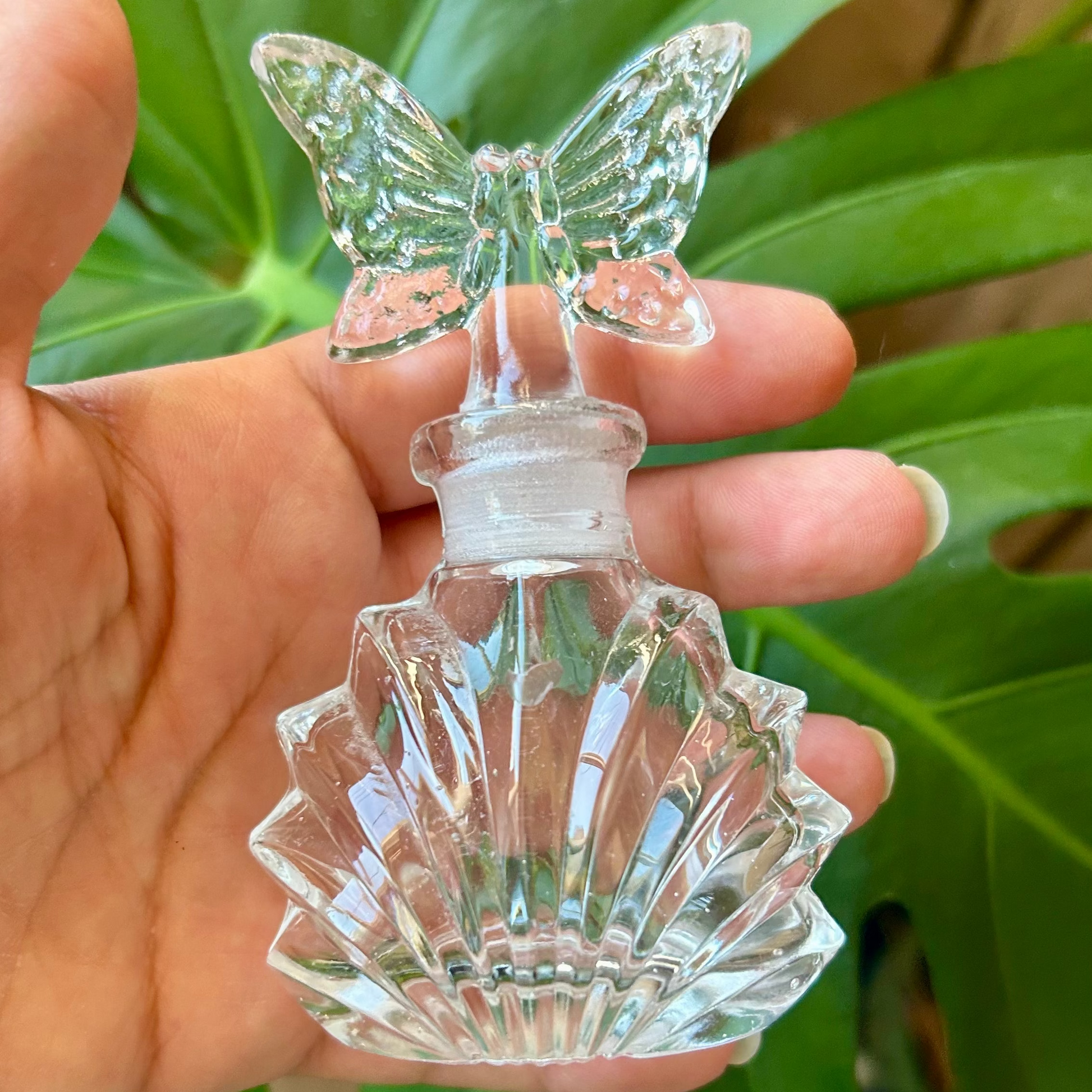 Clear glass butterfly ornament held in front of green leaves