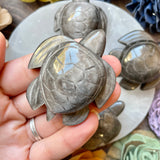 Silver Sheen Obsidian Sea Turtle