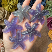 Rainbow Fluorite Starfish Carving