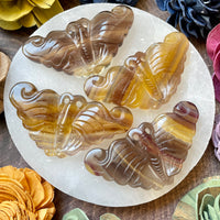 Yellow Fluorite Moth Carving