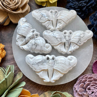 Howlite Moth Carving