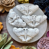 Howlite Moth Carving