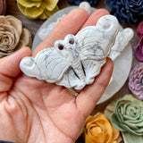 Howlite Moth Carving