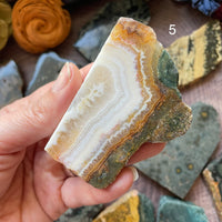 Ocean Jasper Standing Half Polished Slab