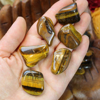 Tiger’s Eye Tumbled stone