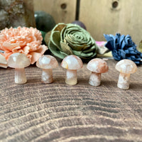 Mini Carved Mushroom (Choose Stone)