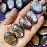 Gem Lepidolite Polished Small Palm Stone