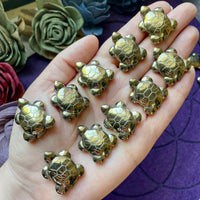 Small Pyrite Turtle Carving Pendant