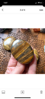 Tiger’s Eye Polished Palm Stone