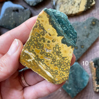 Ocean Jasper Standing Half Polished Slab