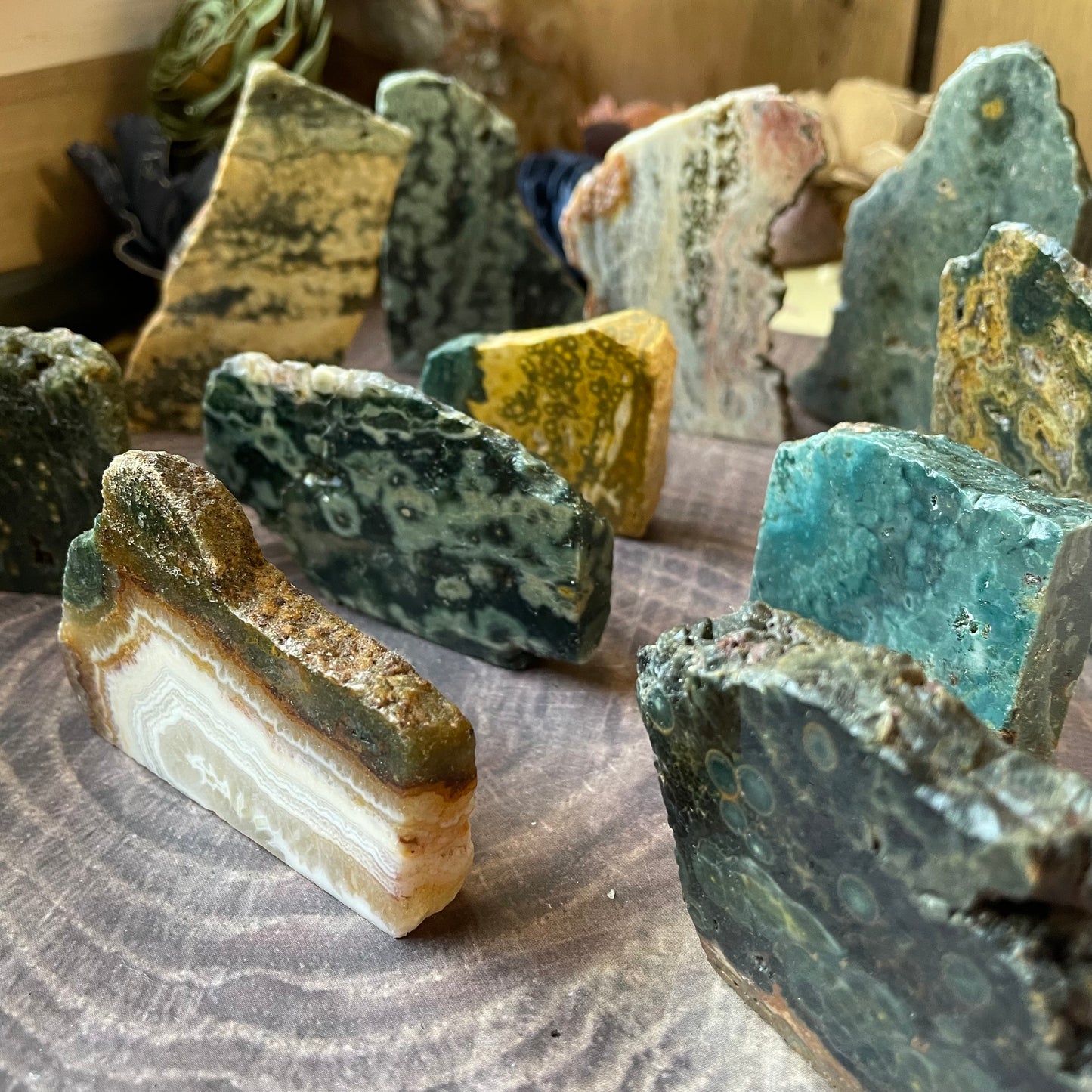 Ocean Jasper Standing Half Polished Slab