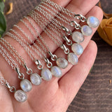 Rainbow Moonstone Small Pendant Sterling Silver Necklace