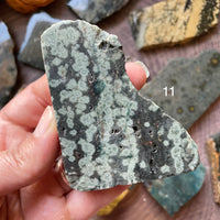 Ocean Jasper Standing Half Polished Slab