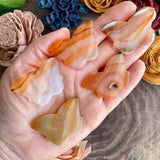Carnelian Butterfly Cabochon