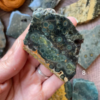 Ocean Jasper Standing Half Polished Slab