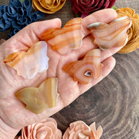 Carnelian Butterfly Cabochon