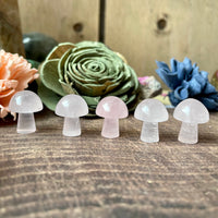 Mini Carved Mushroom (Choose Stone)