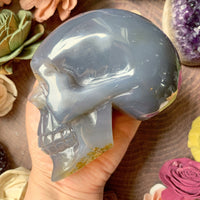 Druzy Agate Skull 2.5 lbs