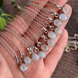 Rainbow Moonstone Small Pendant Sterling Silver Necklace