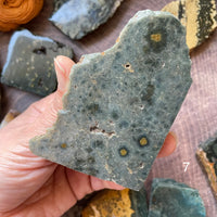 Ocean Jasper Standing Half Polished Slab