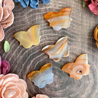 Carnelian Butterfly Cabochon