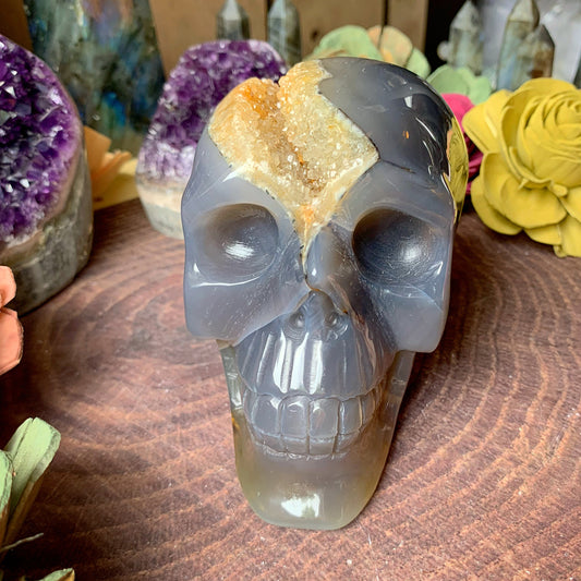 Druzy Agate Skull 2.5 lbs