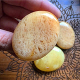 Yellow Aventurine Polished Palm Stone