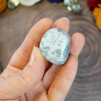 Tree Agate Tumbled stone