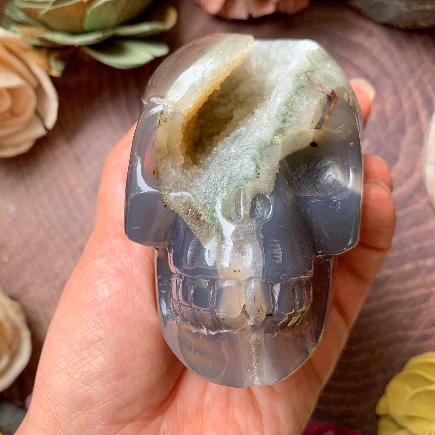 Druzy Agate Skull 1.2 lb