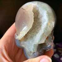 Druzy Agate Skull 1.2 lb